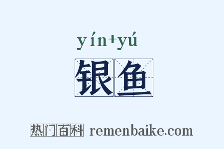 银鱼是什么意思的图片